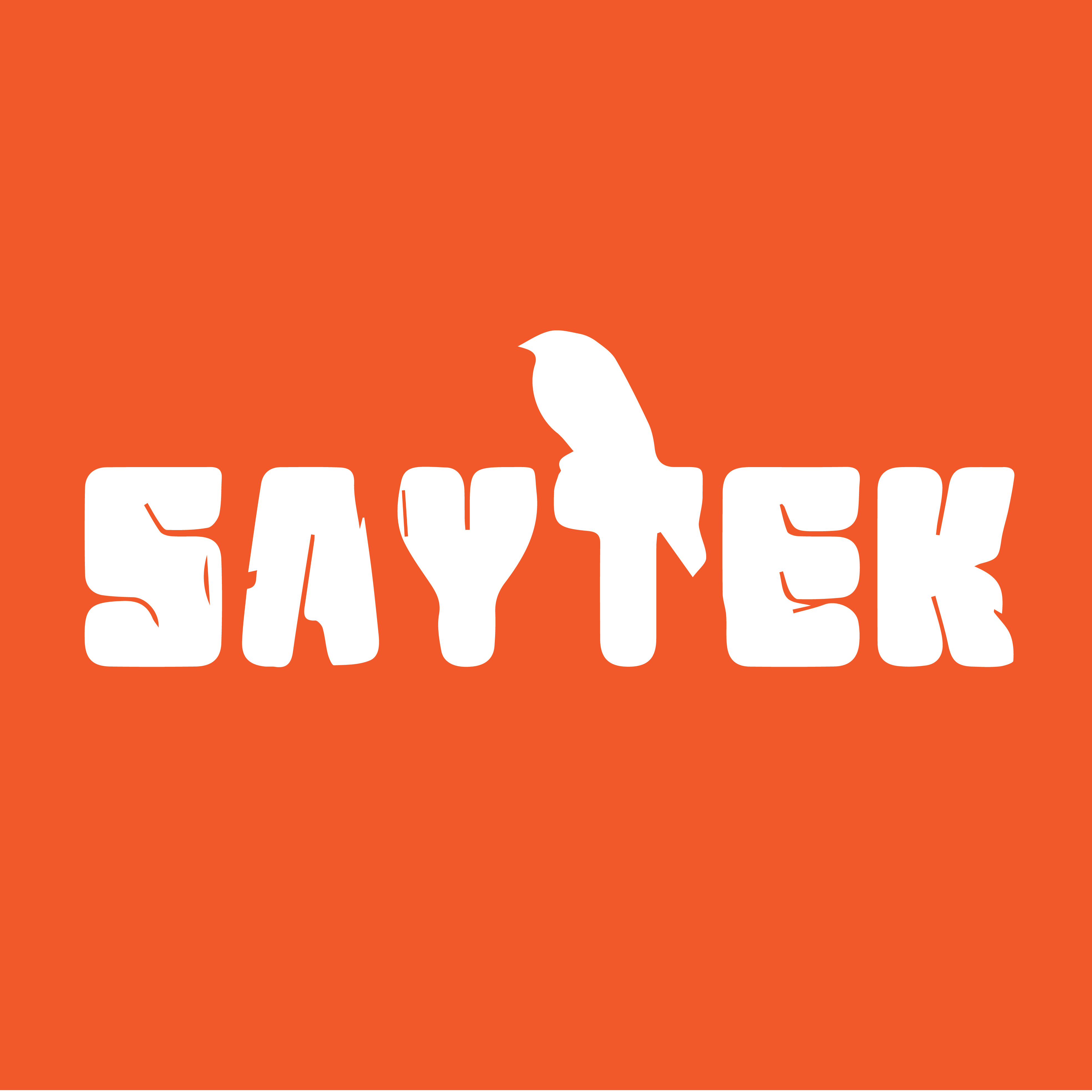 STREAM: Saytek – 5 Years On