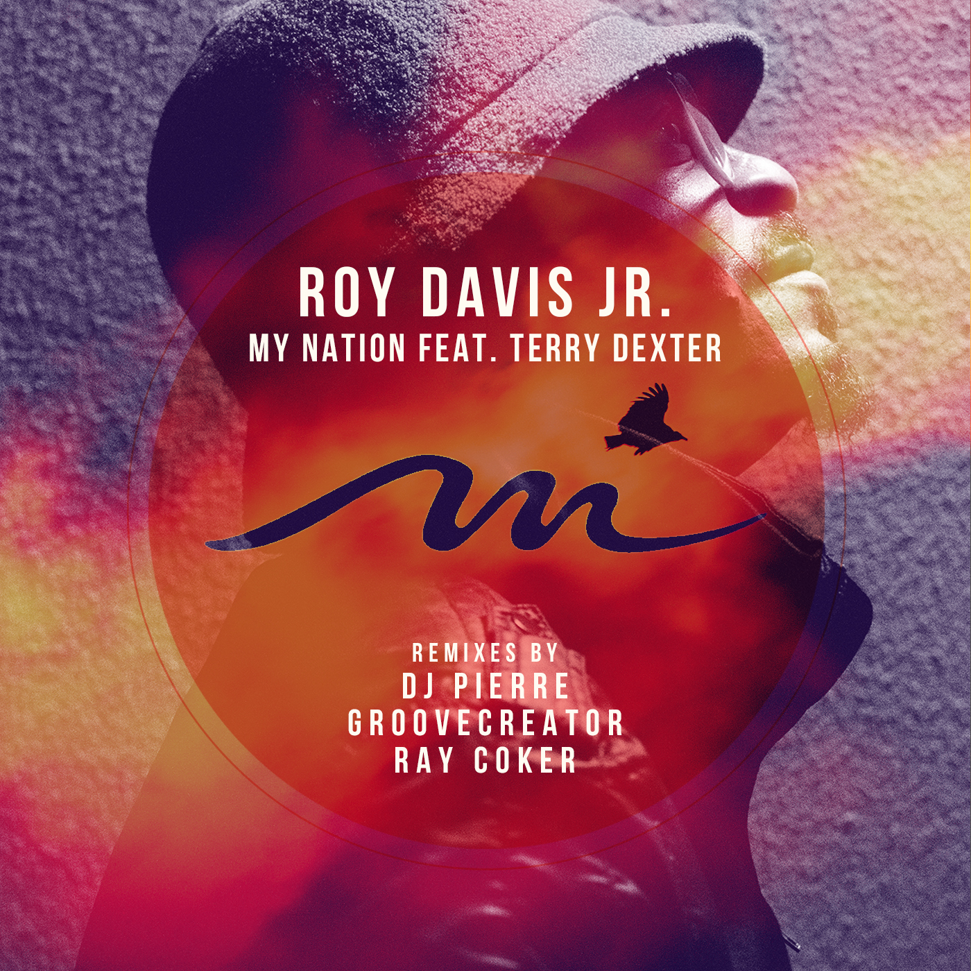 Roy Davis Jr – My Nation