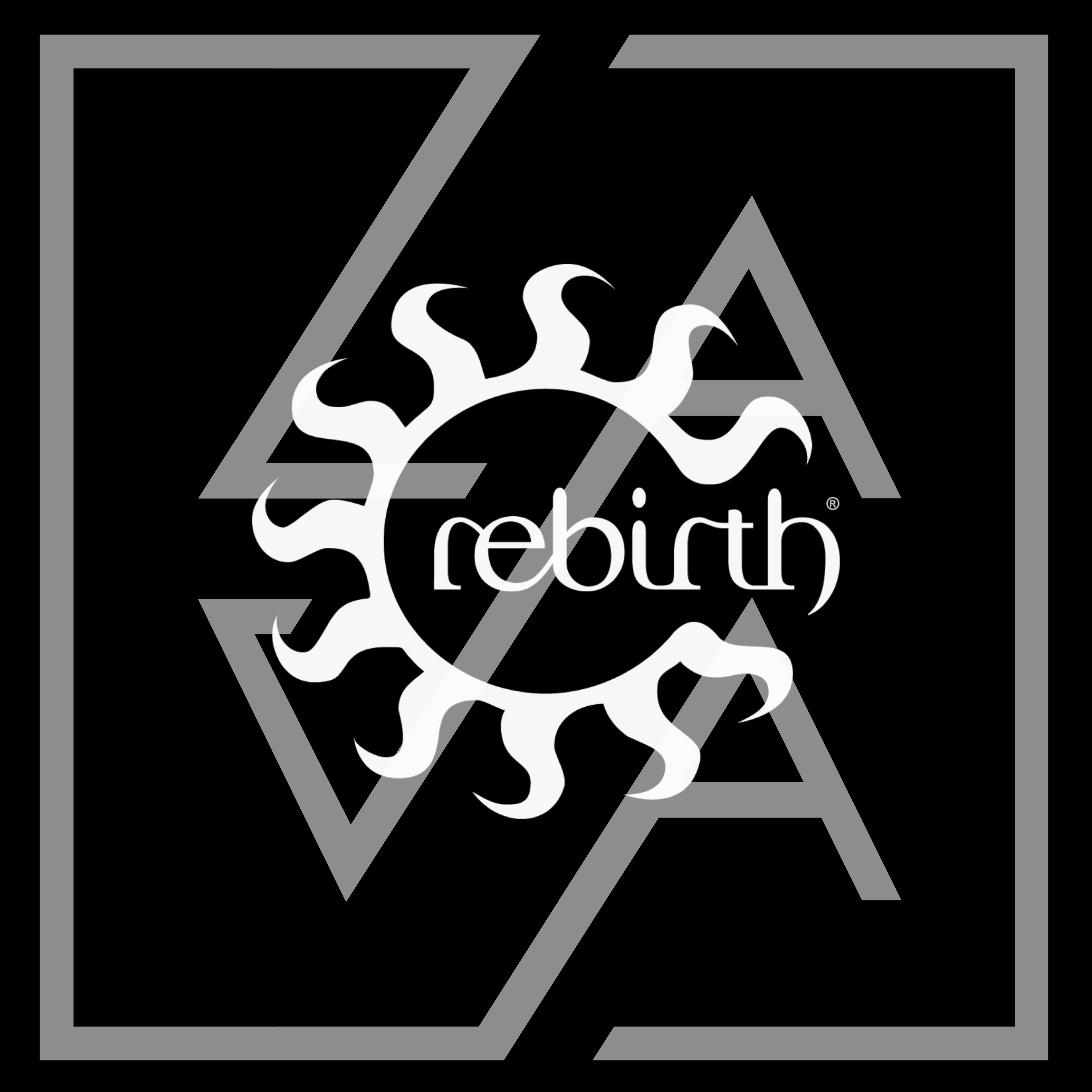 Episode 88: Rebirth // Guest Mix 34: Reset Safari